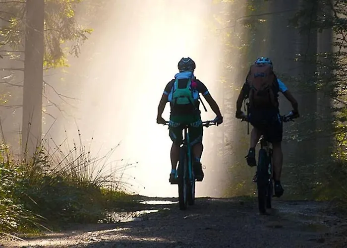 Bayerwald Kaitersberg Mit Sauna, Sonnenterrasse Und Garten Alpesi faház