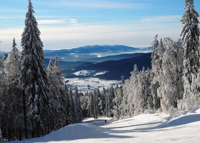 Chalet Bayerwald Kaitersberg Mit Sauna, Sonnenterrasse Und Garten Arnbruck